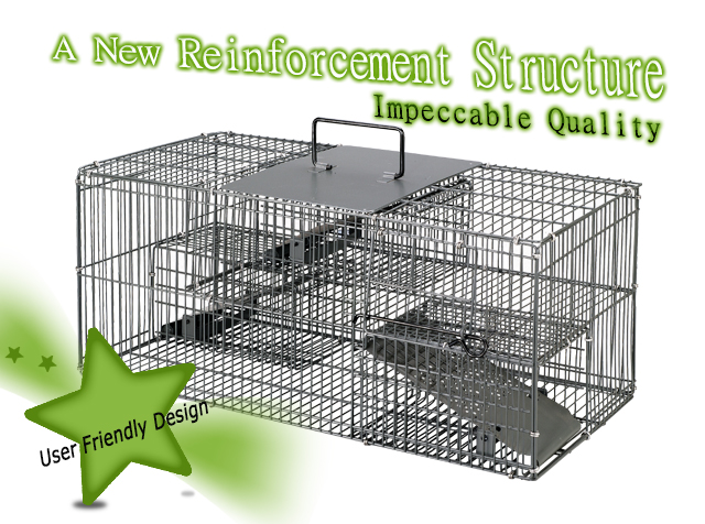 humane rat traps